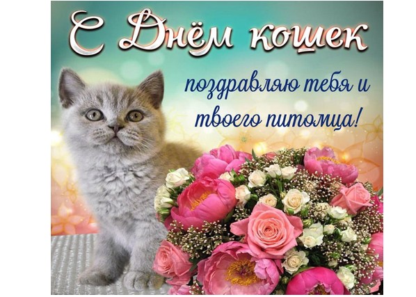 День котов и кошек: 17 февраля, 1 марта, 8 августа - открытки с поздравлениями | Открытки, Праздничные открытки, Картинки